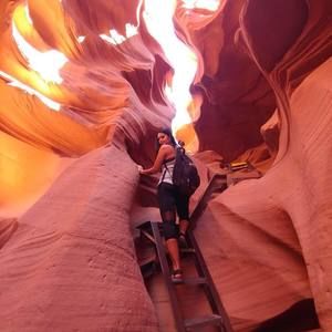 Meet your Posher, Andreea